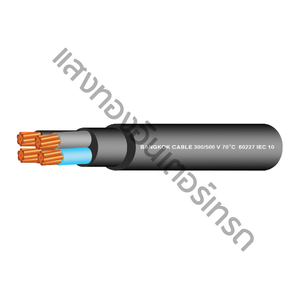 สายไฟ IEC 10