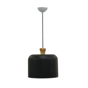 โคมไฟห้อย รุ่นFK-9355A